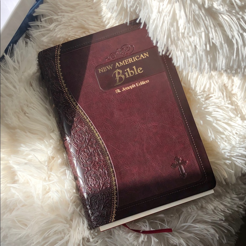 Elegant maroon Leather Bible